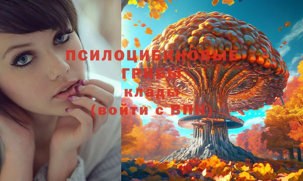 мяу мяу кристалл Магас