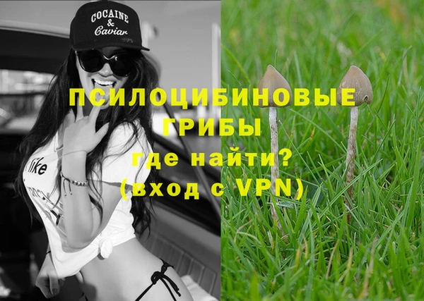 mdpv Магадан